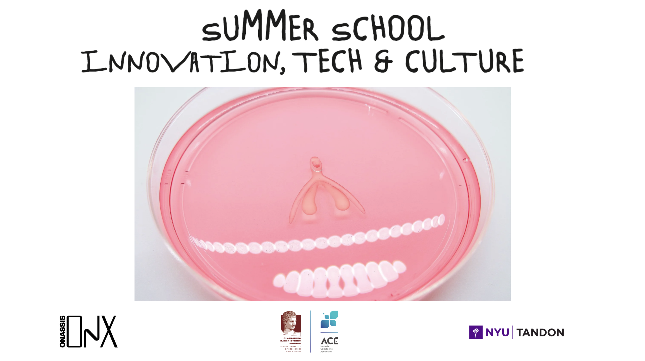 Summer School: Innovation, Tech & Culture